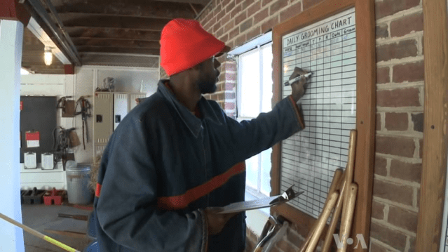 Prison Work Farm Rehabs Inmates, Horses (2013) - Google Search