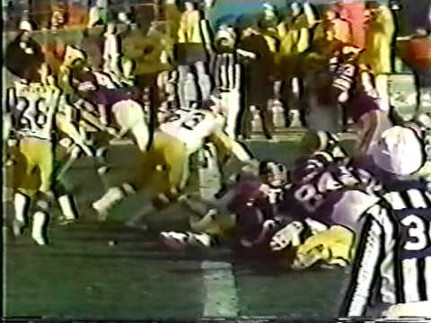 1976 NFC Final