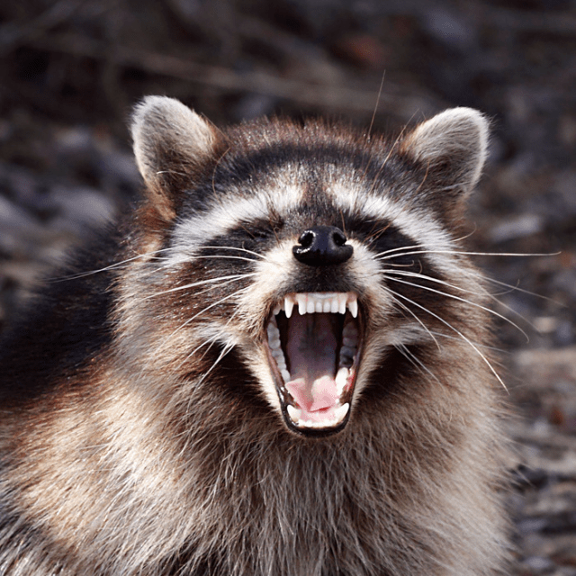 Ask Polly_ How Do I Stop Being An Asshole_ - Google Search