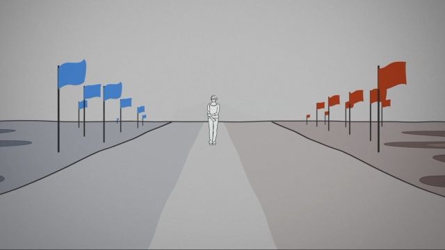 What does a moderate voter look like_