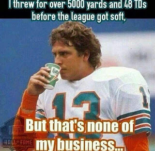Dan Marino_ The Best Pure Passer Ever (1)