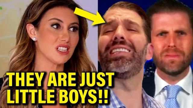 FLUNKY Trump Lawyer Gives ABSURD DEFENSE on Live TV, SO HUMILIATING