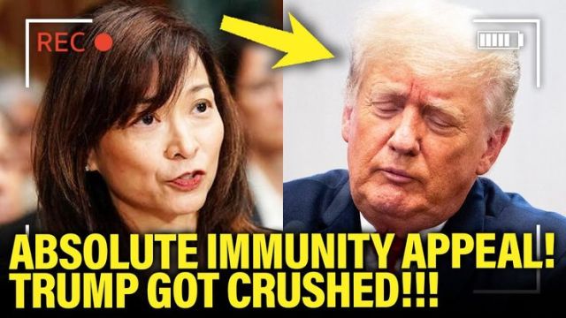 Meidas Touch: Donald Trump RIPPED TO SHREDS by DC Appeals Court