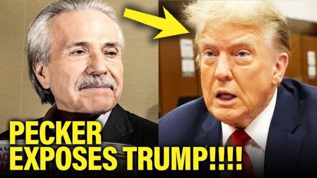 Meidas Touch_ Donald Trump Co-Conspirator SCREWS HIM to HIS FACE At Trial